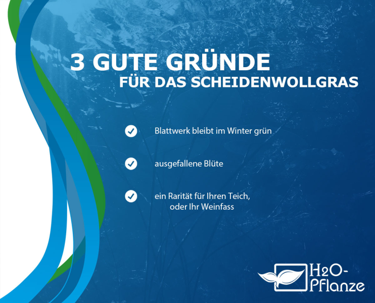 Preview: Kaufgründe